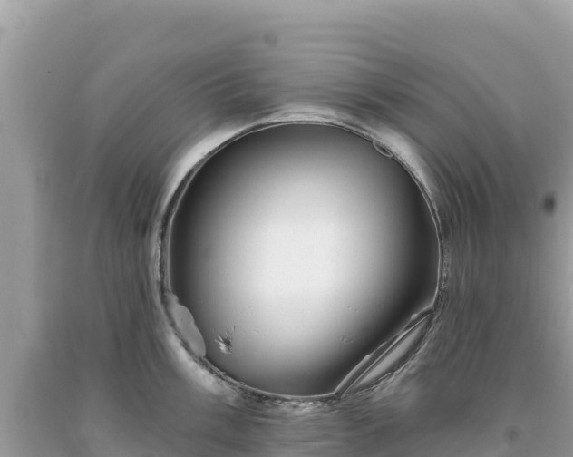 X0000093741003200710231207