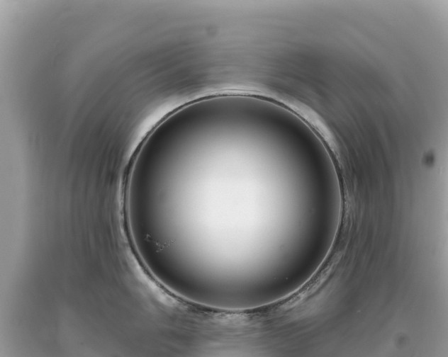 X0000093741006200710231207
