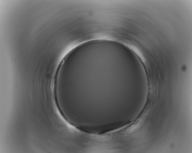 X0000093741007200710231207