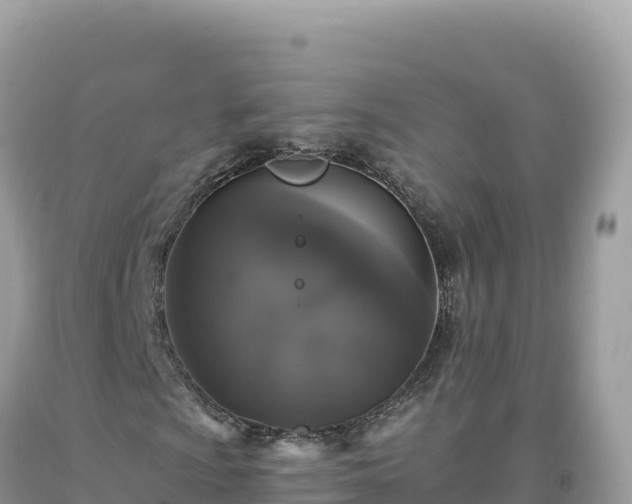 X0000093741009200710231207