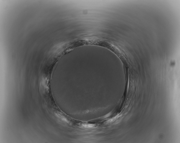 X0000093741010200710231207