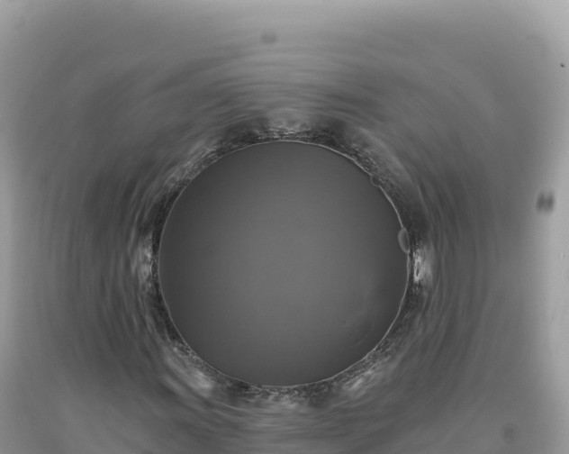 X0000093741011200710231207
