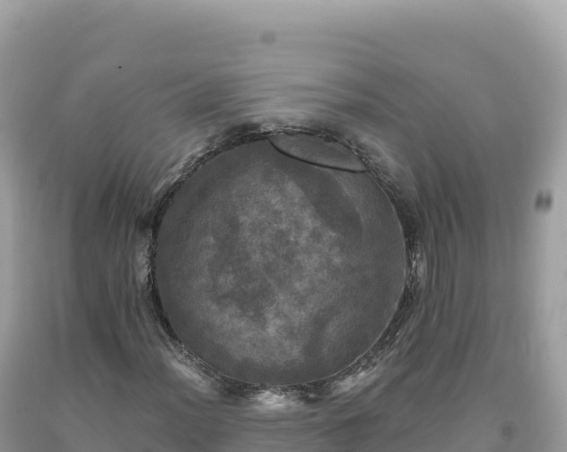 X0000093741012200710231207