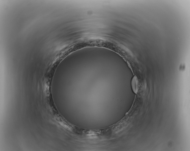 X0000093741013200710231207