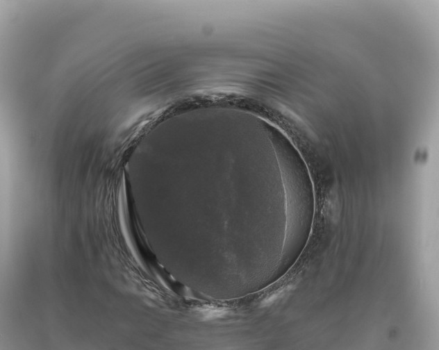 X0000093741014200710231207
