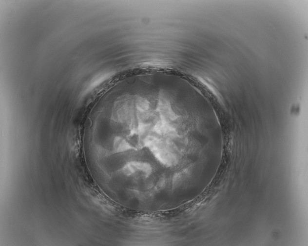 X0000093741015200710231207