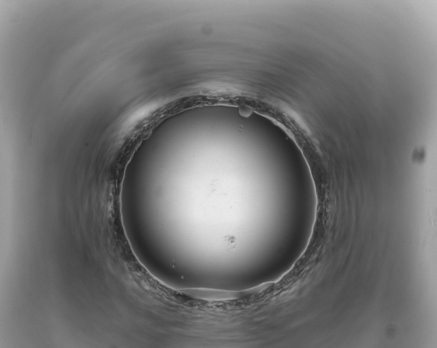 X0000093741016200710231207