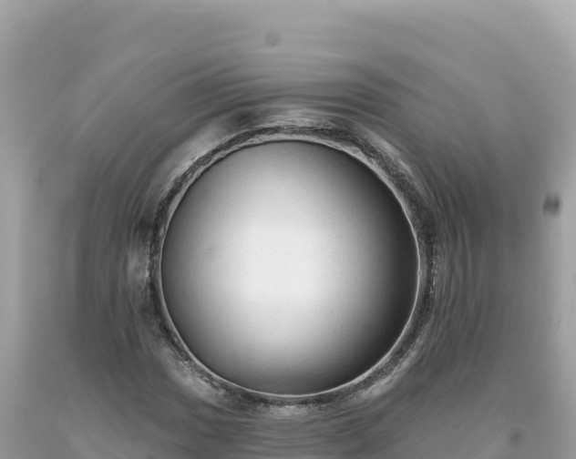 X0000093741017200710231207