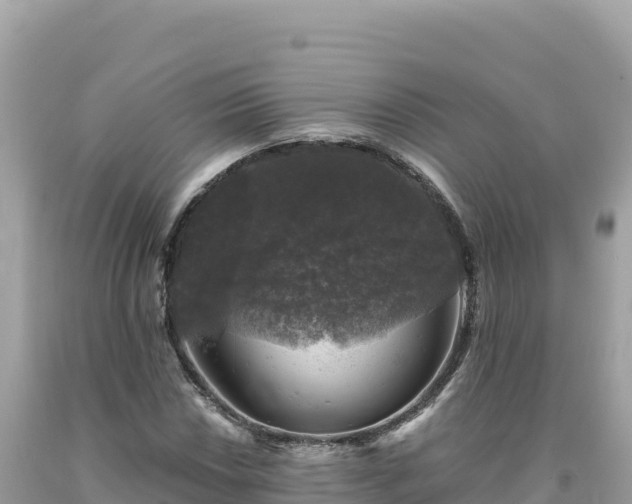X0000093741018200710231207