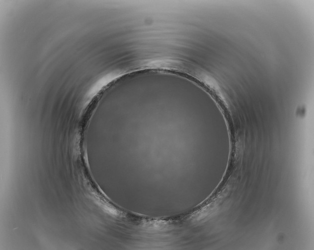 X0000093741019200710231207