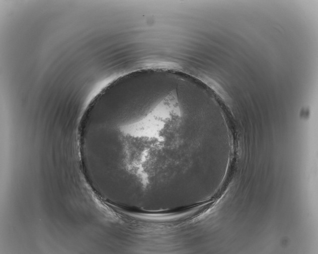X0000093741022200710231207
