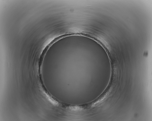 X0000093741023200710231207