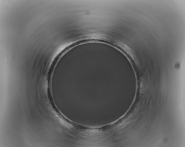 X0000093741024200710231207