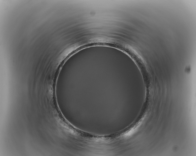 X0000093741025200710231207