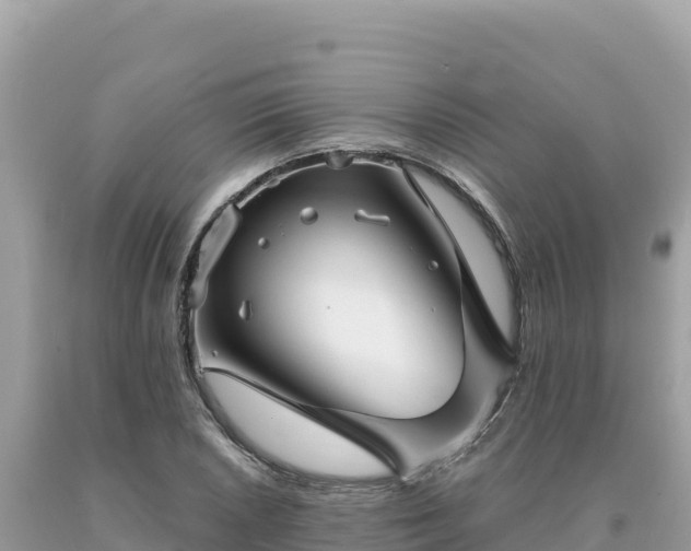 X0000093741026200710231207