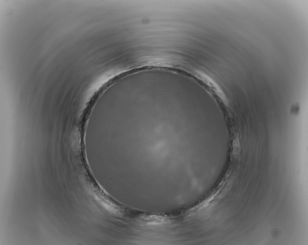 X0000093741027200710231207