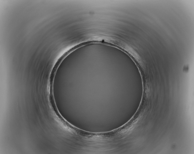 X0000093741028200710231207