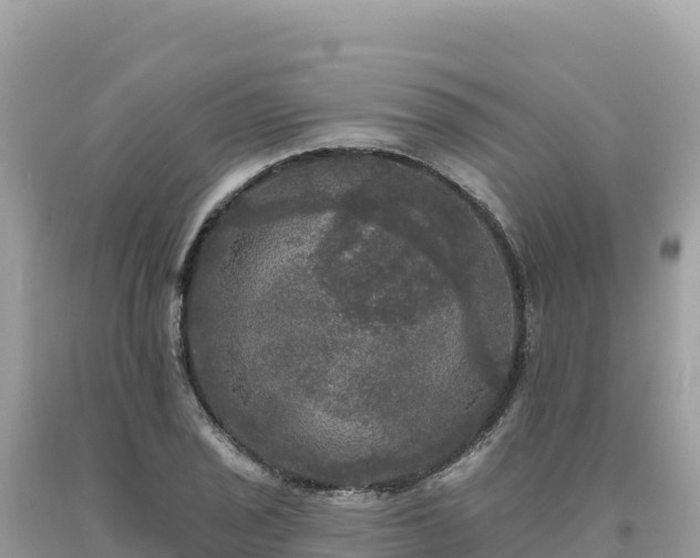 X0000093741029200710231207