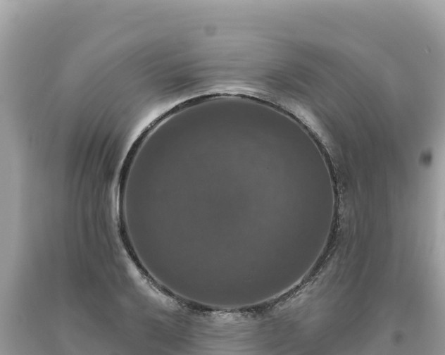 X0000093741032200710231207