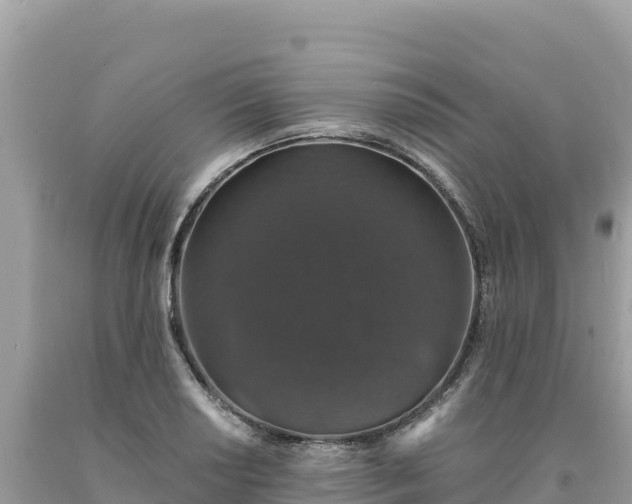 X0000093741034200710231207