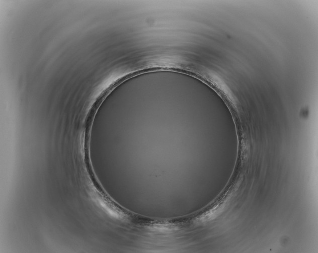 X0000093741035200710231207