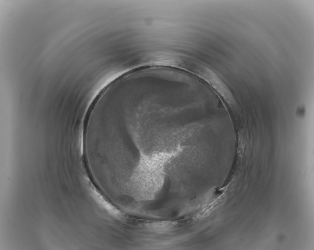 X0000093741036200710231207
