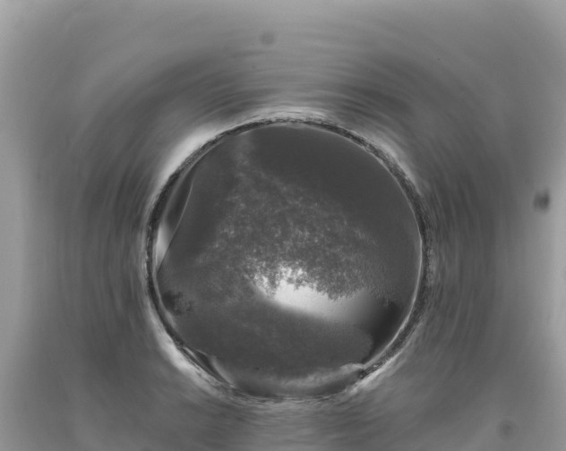 X0000093741038200710231207