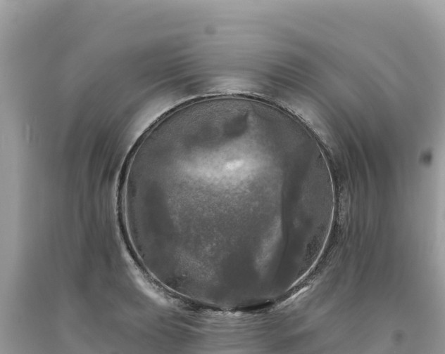 X0000093741039200710231207