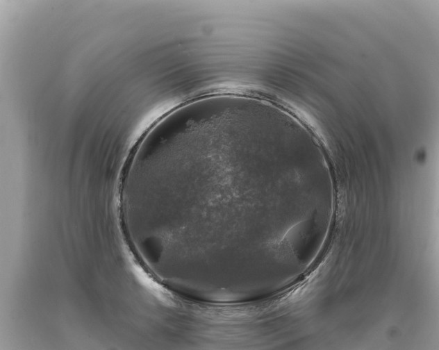 X0000093741042200710231207