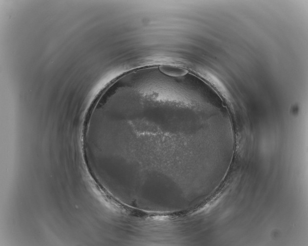 X0000093741043200710231207