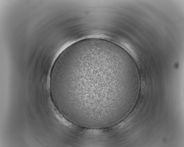 X0000093741044200710231207