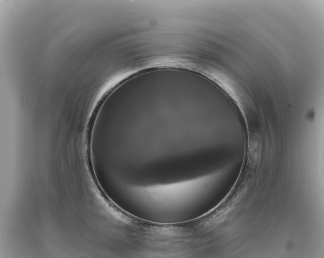 X0000093741045200710231207