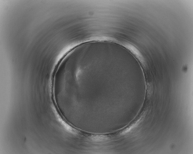 X0000093741046200710231207
