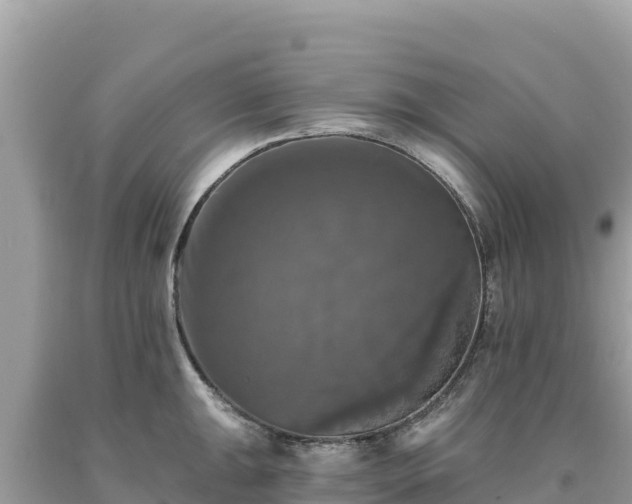 X0000093741047200710231207