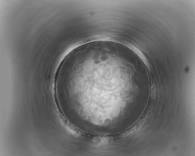 X0000093741051200710231207