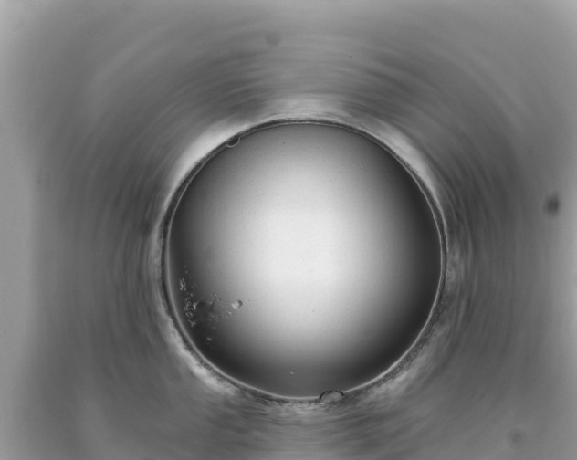 X0000093741053200710231207