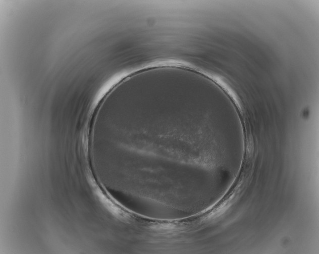 X0000093741054200710231207