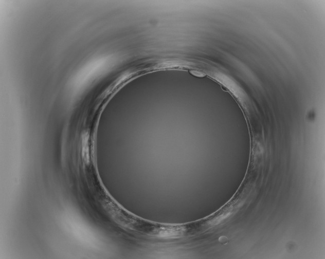 X0000093741055200710231207