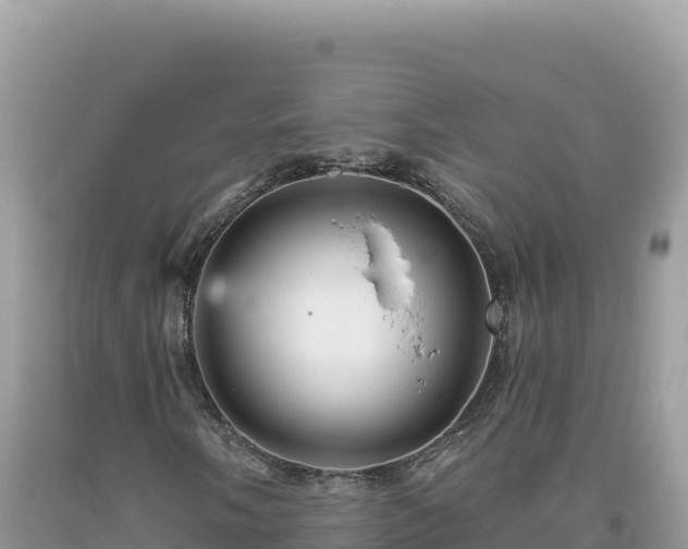 X0000093741058200710231207