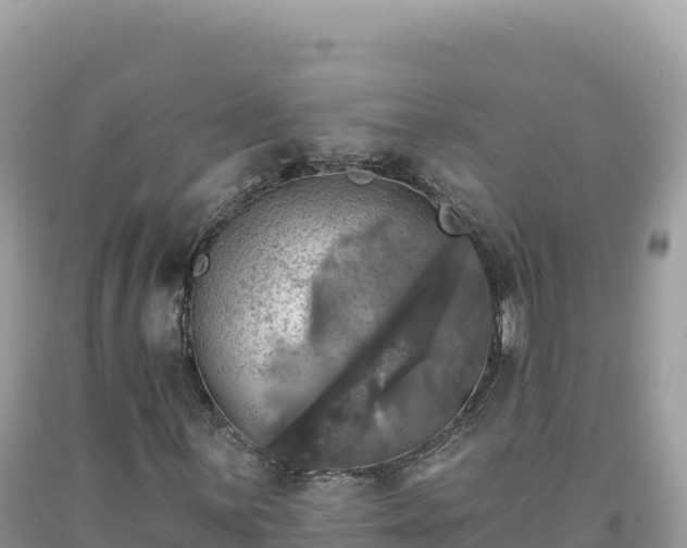 X0000093741059200710231207