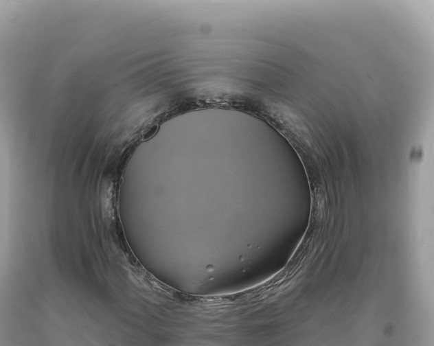X0000093741060200710231207