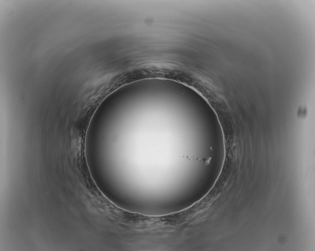X0000093741061200710231207