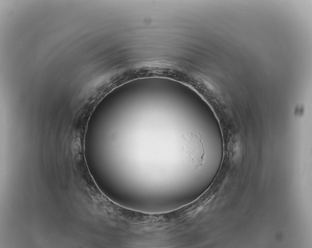 X0000093741062200710231207
