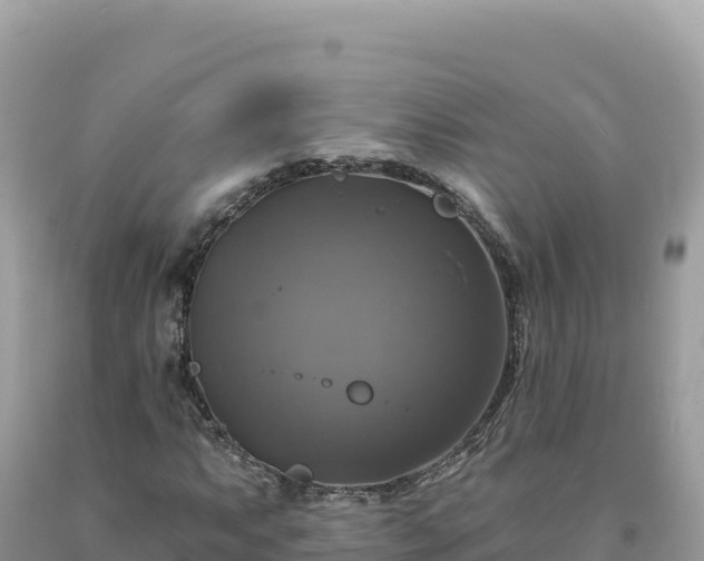 X0000093741063200710231207