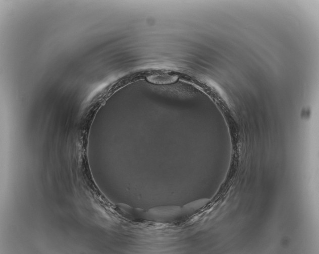 X0000093741064200710231207