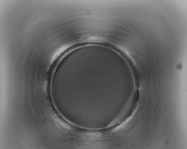 X0000093741066200710231207