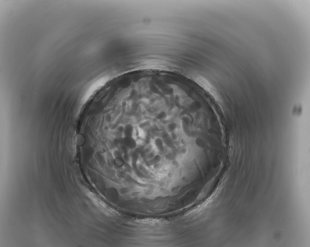 X0000093741067200710231207