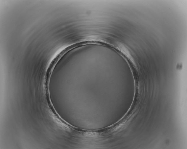 X0000093741068200710231207