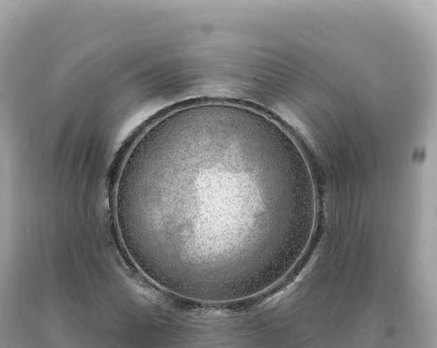 X0000093741070200710231207