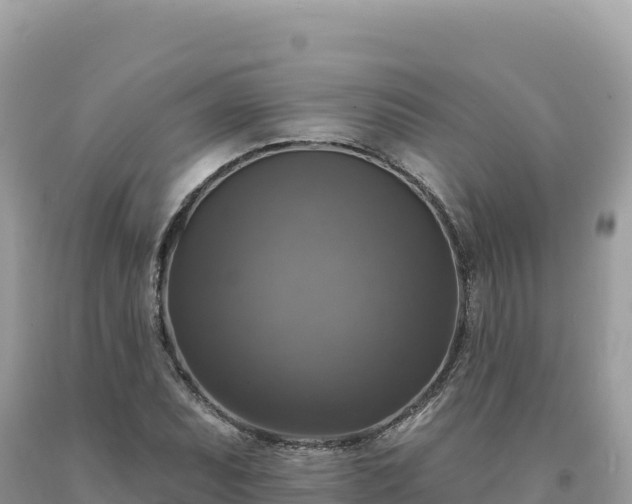 X0000093741071200710231207
